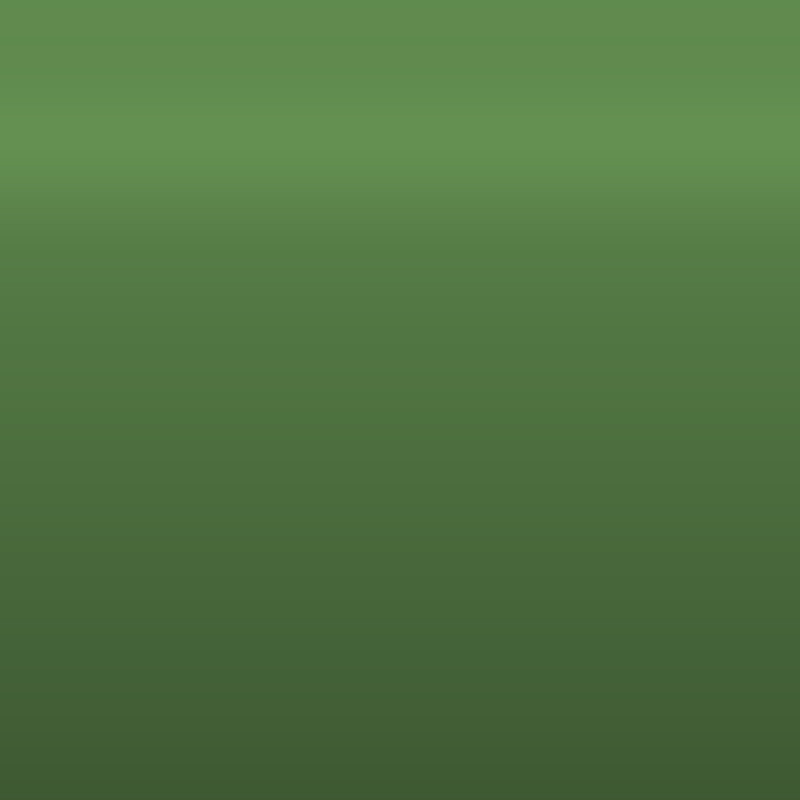 Automotive Touch Up Paint GMC Medium Green Metallic 8055