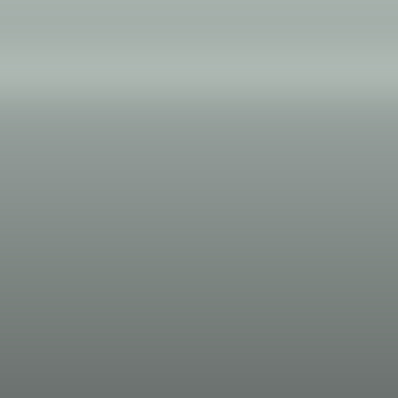 Automotive Touch Up Paint Buick Pearl Gray 9057