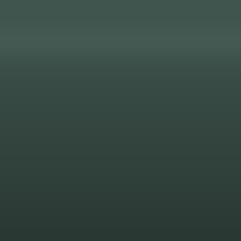 Automotive Touch Up Paint Bentley Spruce Metallic 4Q