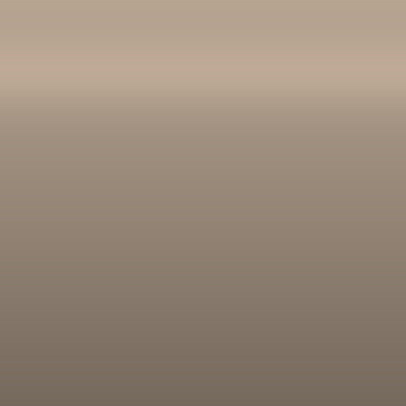 Automotive Touch Up Paint Chevrolet Light Brown Metallic 9139