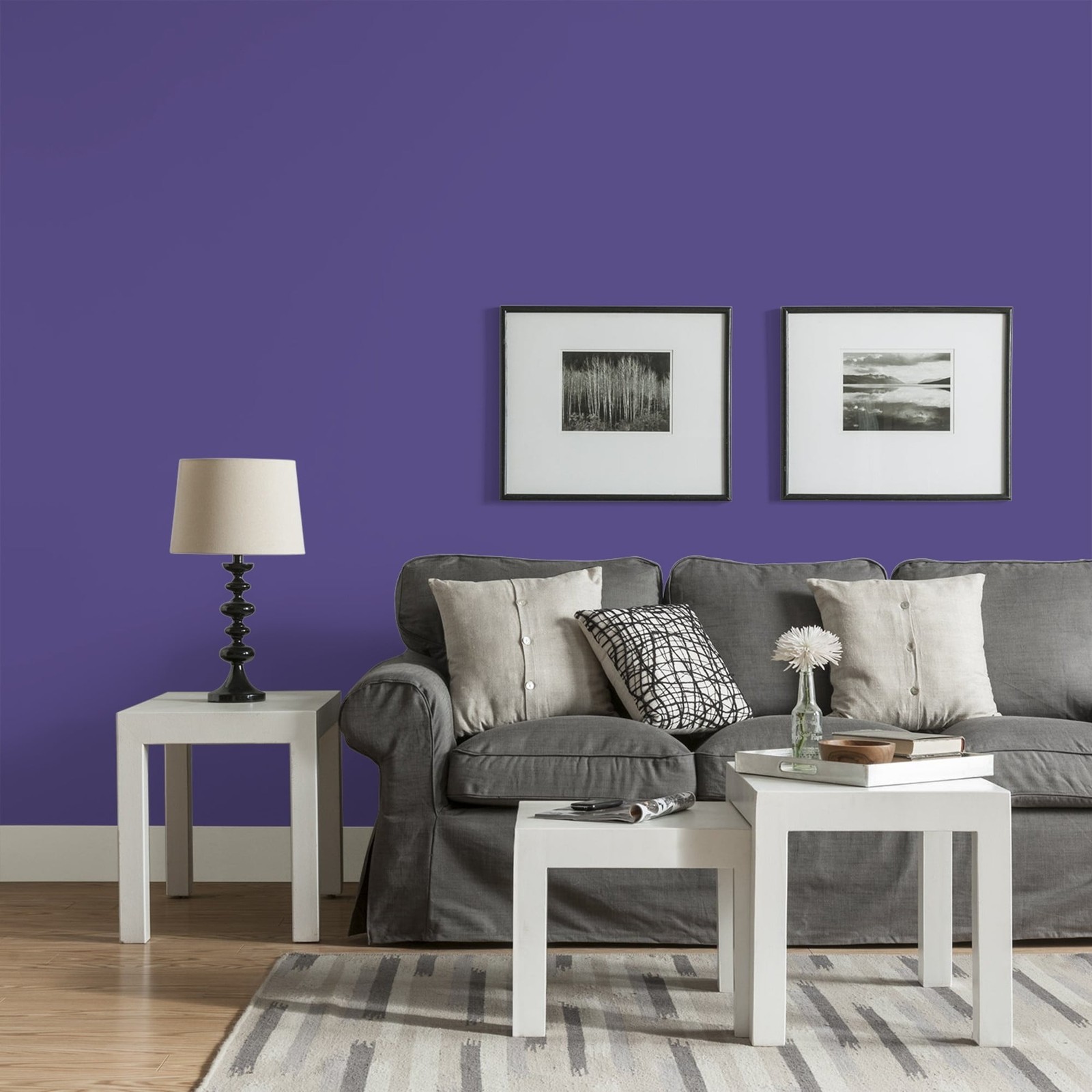 Glidden Fundamentals Eggplant / Purple, Eggshell Interior Paint, 1 Gallon