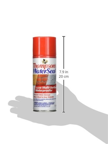 Thompson’s WaterSeal Clear Waterproof Stain 12 Ounce Protects Exterior Surfaces