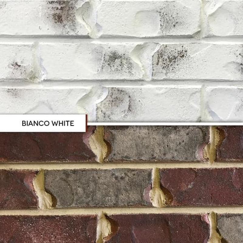 Bianco White Limewash Paint Interior/Exterior Nontoxic High UV Resistant