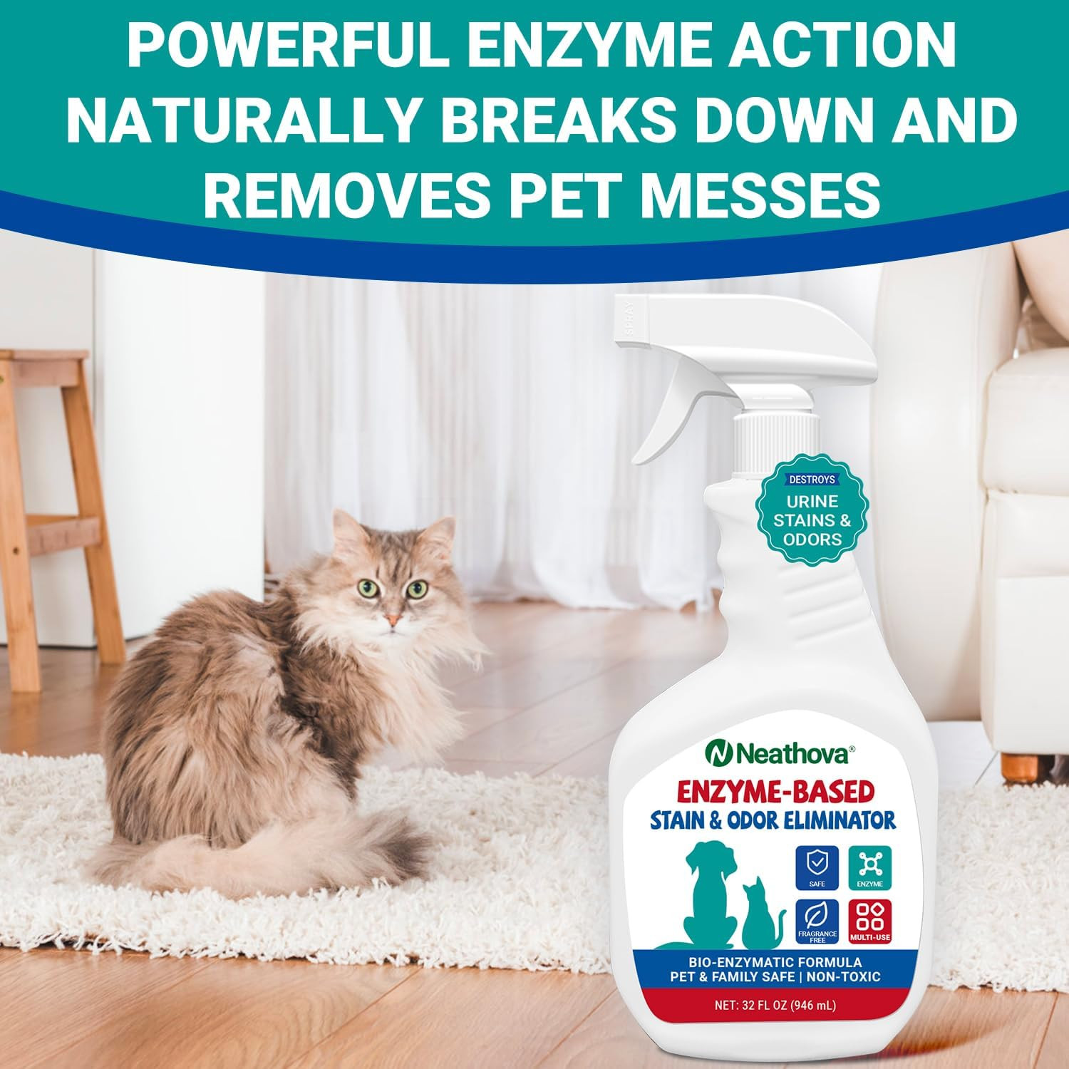 Stain & Strong Odor Eliminator, Enzyme Cleaner, Pet Odor Eliminator for Home – C