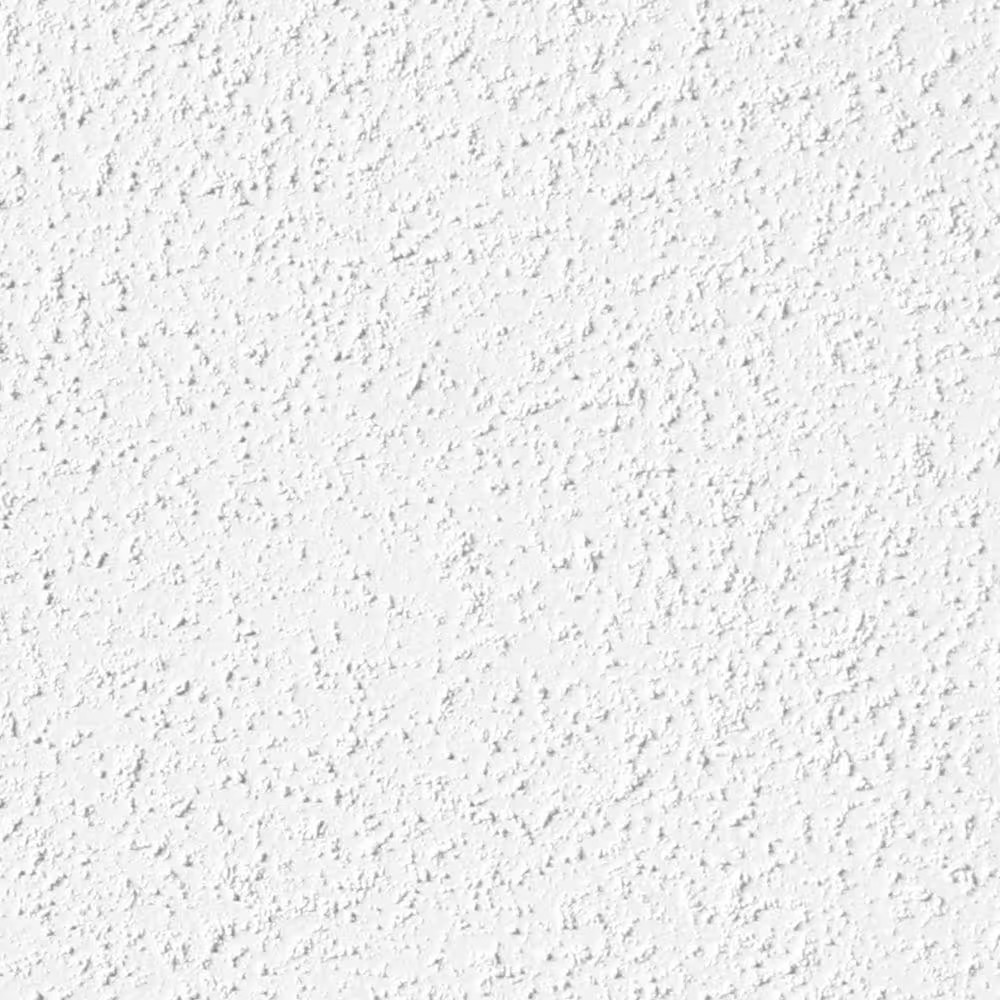 2 Gal. White Sand Roll-On Texture Decorative Wall Finish