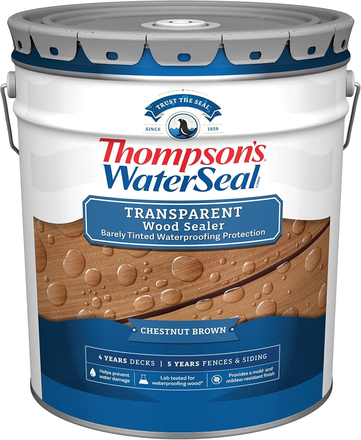Thompson’S Waterseal Transparent Waterproofing Wood Stain and Sealer, Chestnut
