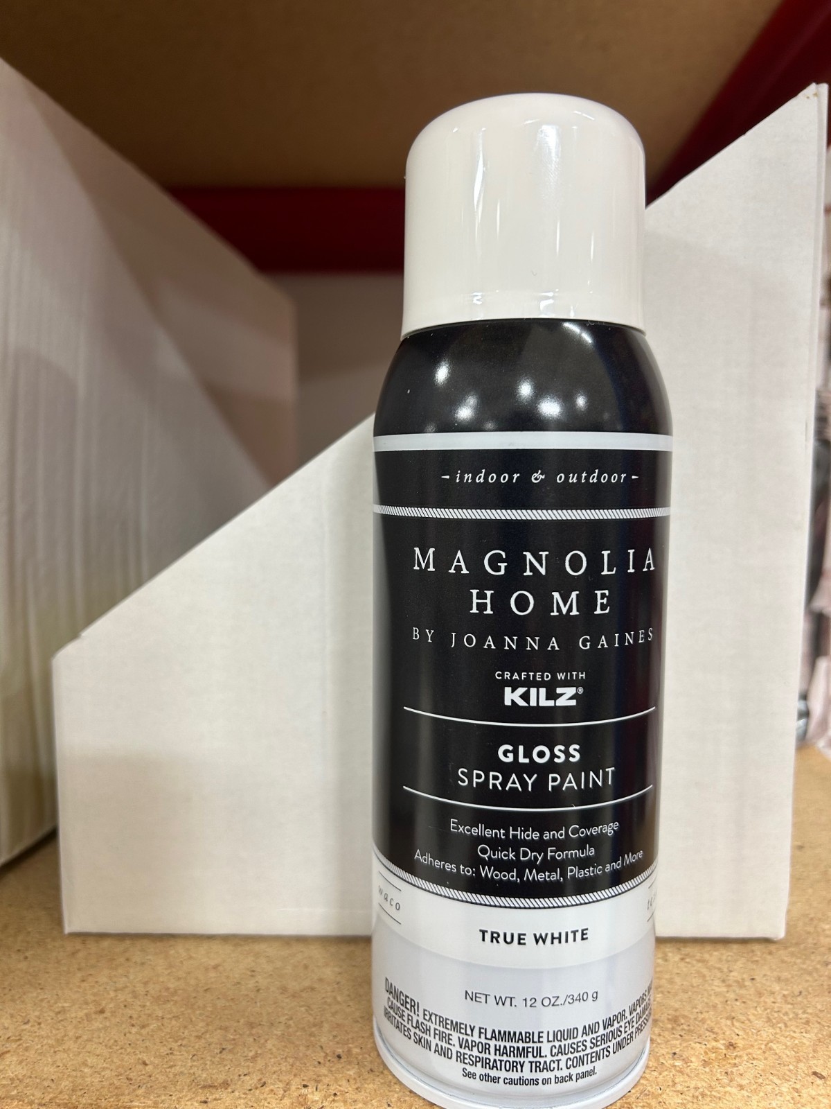 NEW Magnolia Home Enamel Interior/Exterior Spray Paint TRUE WHITE MATTE FREE S&H