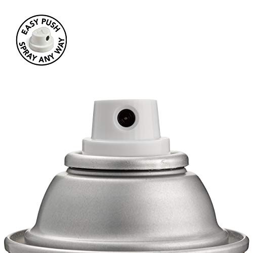 Black Stainless 12 Ounce Spray Paint Superior Adhesion Indoor Outdoor Use