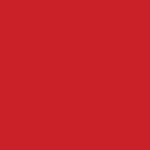 Fusion All-In-One Gloss Spray Paint & Primer, Red Pepper – 1 Each