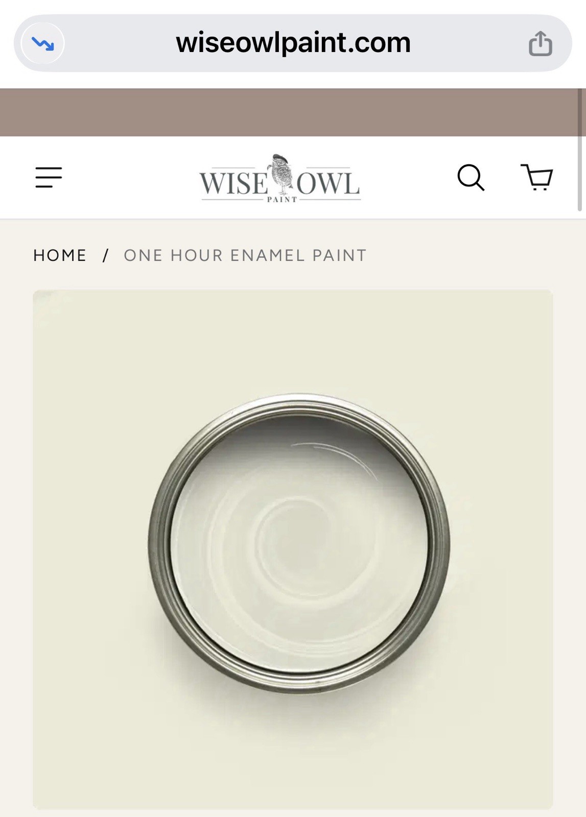 Wise Owl One Hour Enamel Paint Quart White Birch Furniture Paint