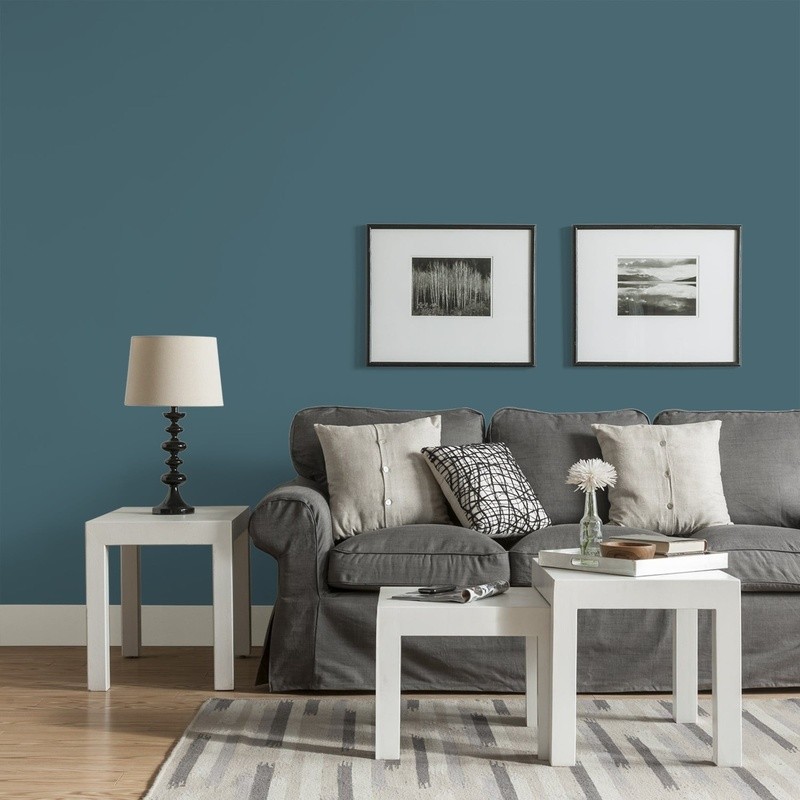 Low VOC Interior Paint Multi-Surface Fast Dry Washable Coverage 400 sq ft New