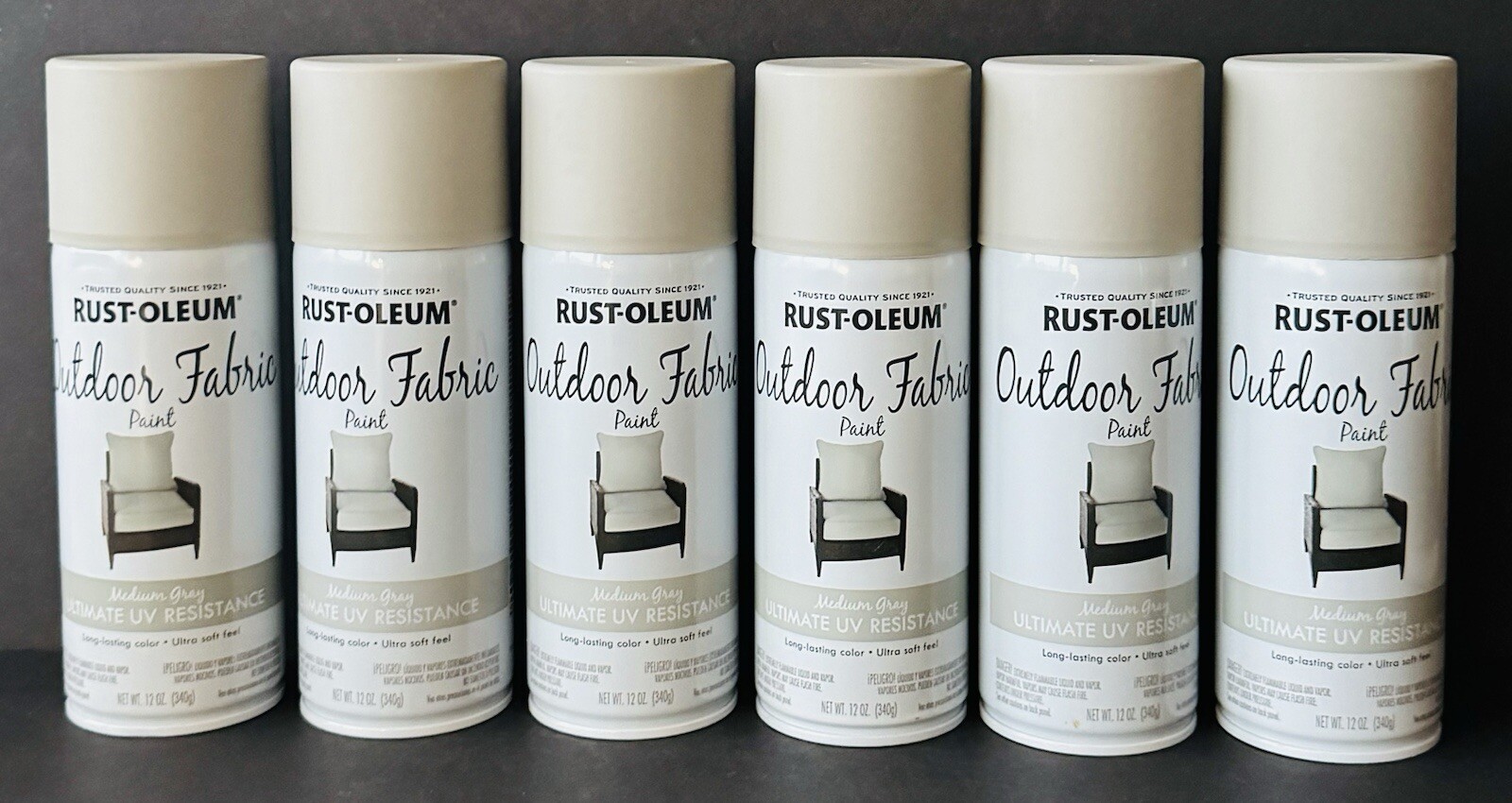 Rust-Oleum 352121 Outdoor Fabric Paint “MEDIUM GRAY”, 12oz (6 Pack)