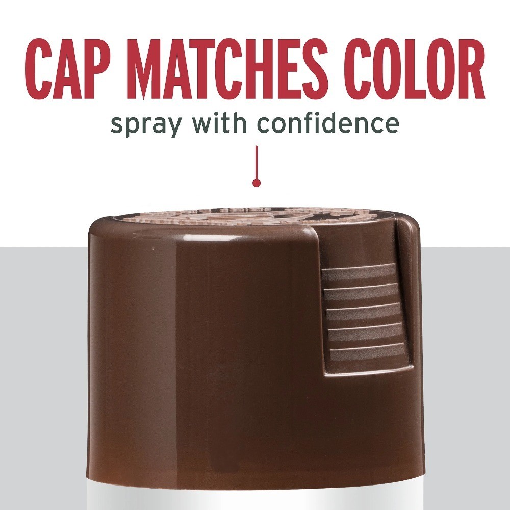 Gloss Brown Rust Protective Enamel Spray Paint 12 oz Leather Finish