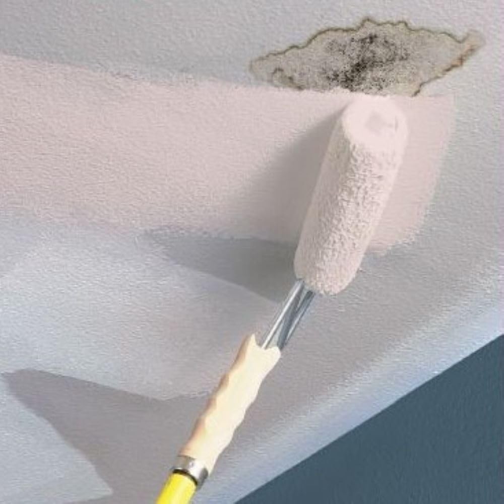 Kilz Stainblocking Ceiling Paint Interior White 1 Gallon 68041