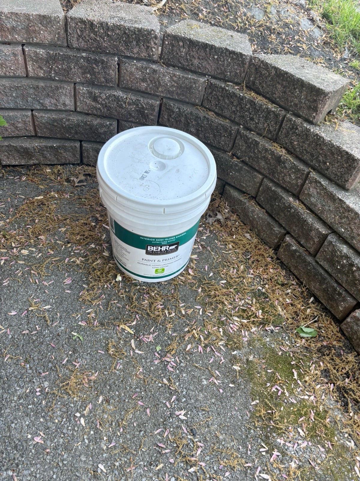 House Paint