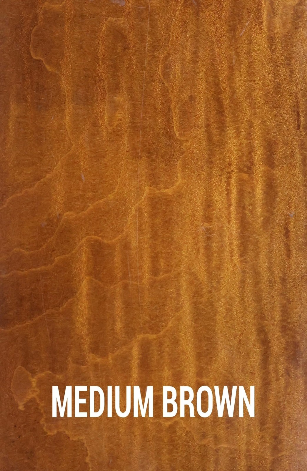 Medium Brown TransTint® Dye