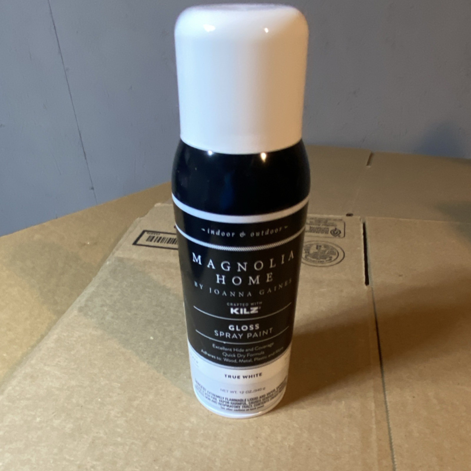 Magnolia Home by Joanna Gaines Gloss Spray Paint True White Premium Finish