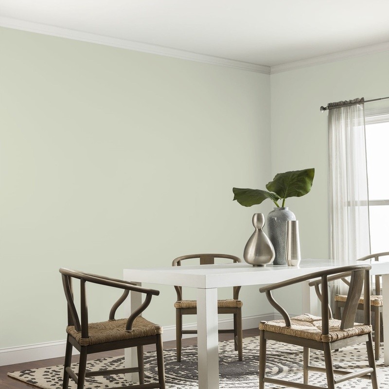 Low VOC Interior Paint Washable Eggshell Finish Multi-Surface 400 sq ft Coverage