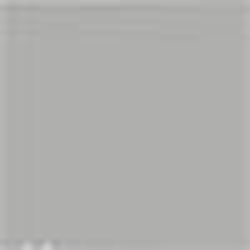Aluminum Flat Primer Quick Drying Metal Protection Indoor Outdoor Use 2 Pack