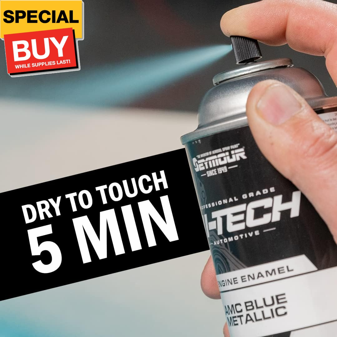 EN-71 Hi-Tech Engine Spray Paint, Dull Aluminum 12 Ounce (Pack of 1)