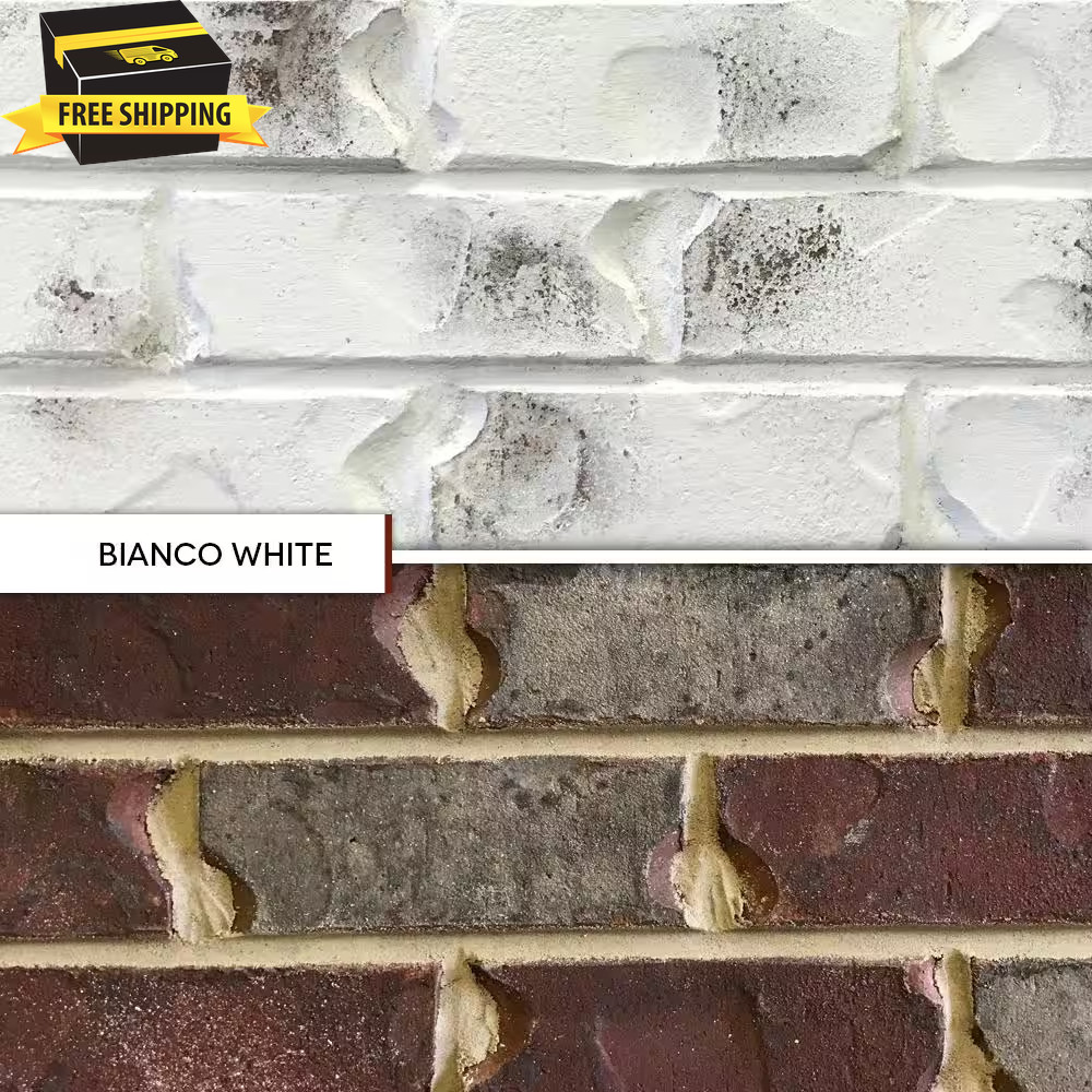 Bianco White Limewash Paint – Interior/Exterior – 0.67 Gal 🎯🎯🎯