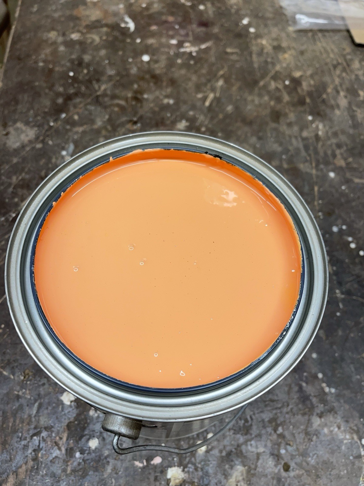 1 Gallon Sherwin Williams Duration Interior Satin Paint/ Coral
