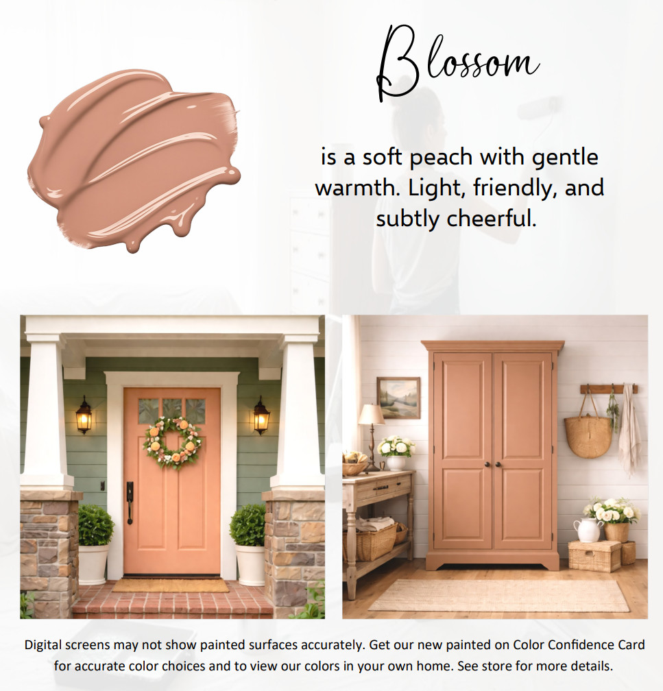 ALL-IN-ONE Paint – Blossom, 8oz Sample
