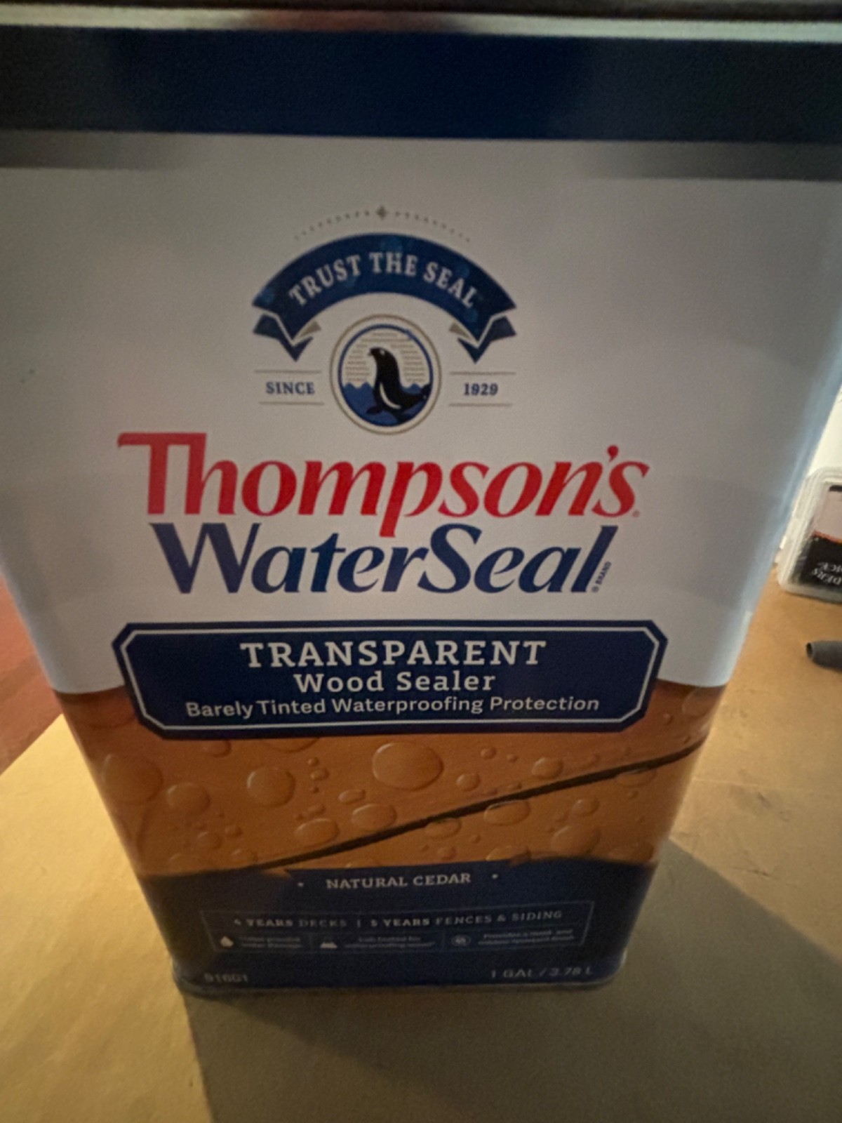 Thompson’s WaterSeal Transparent Wood Stain, Natural Cedar, 1 Gallon