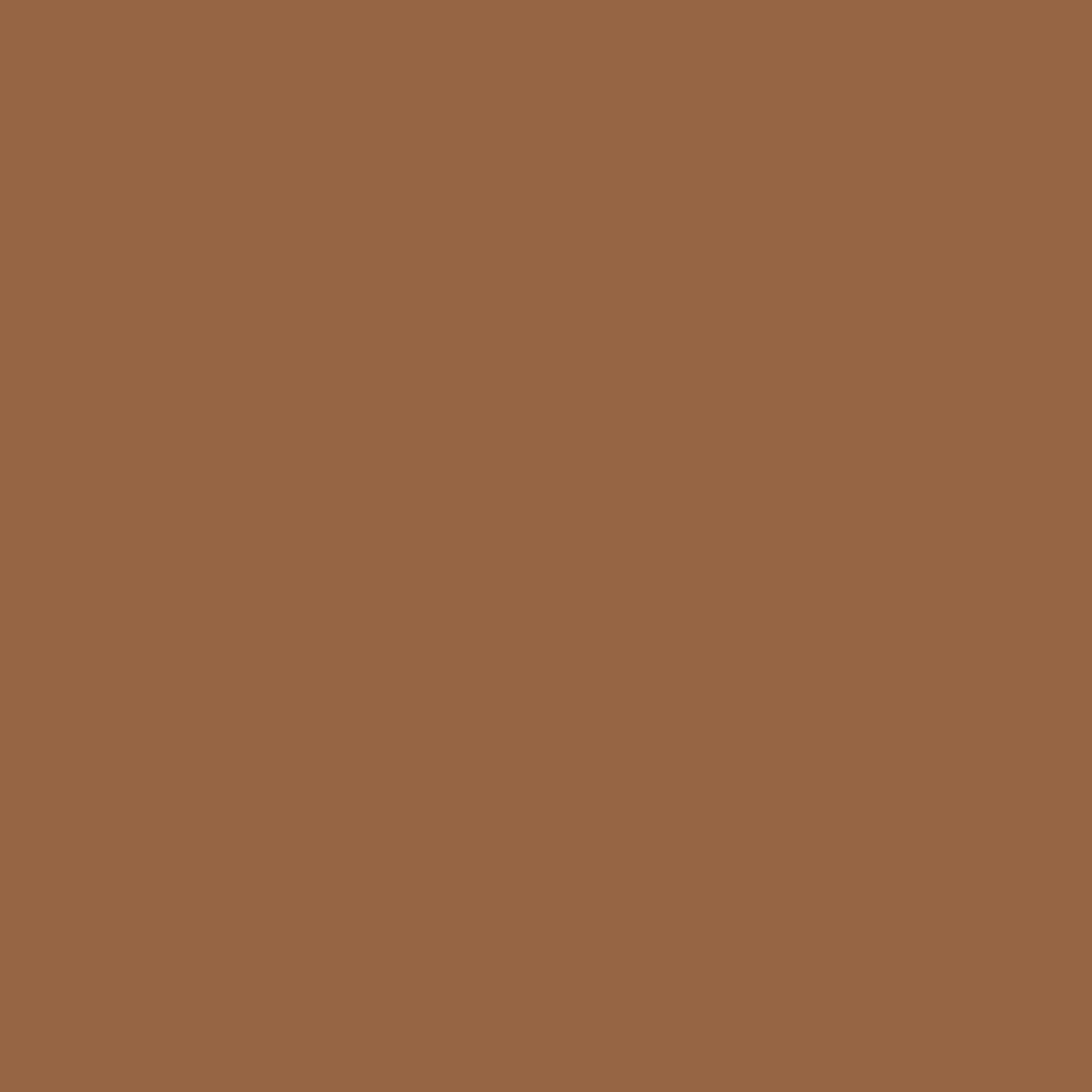Kitchen Bath & Laundry Cinnamon Stick / Brown Eggshell Interior Paint W/ Primer