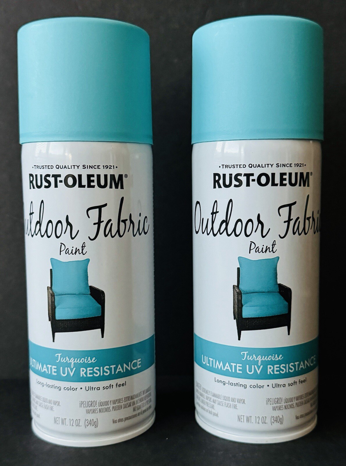 Rust-Oleum 358842 Outdoor Fabric Paint “TURQUOISE”, 12oz (2 Pack)