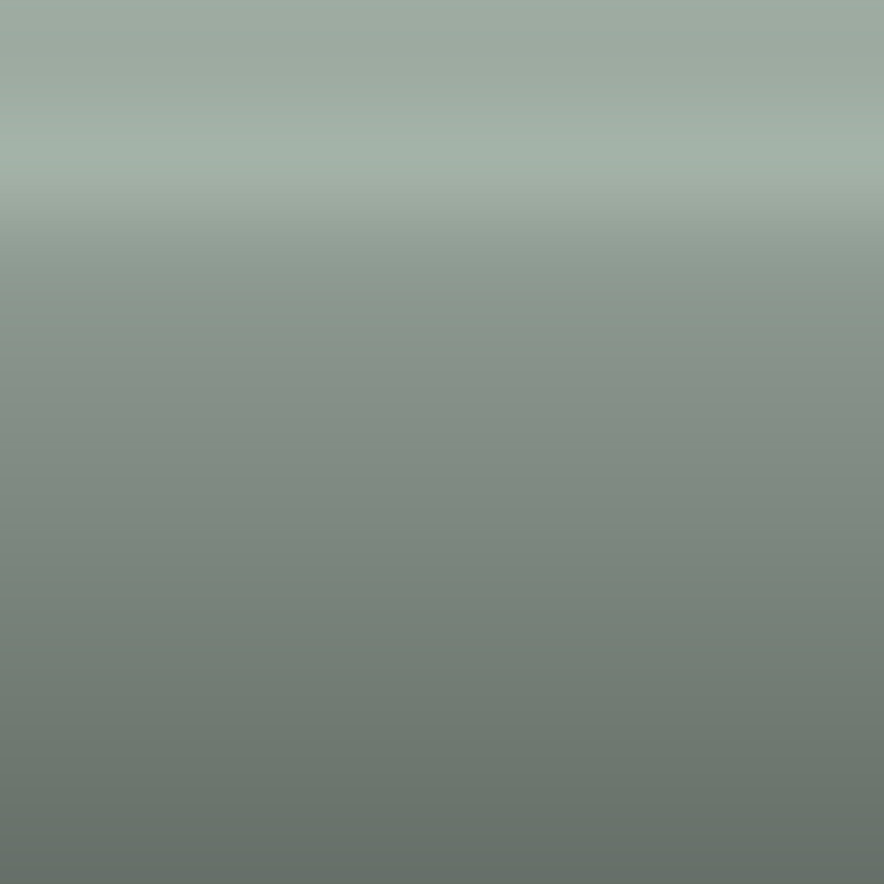 Automotive Touch Up Paint Ford Medium Spruce Metallic 5728