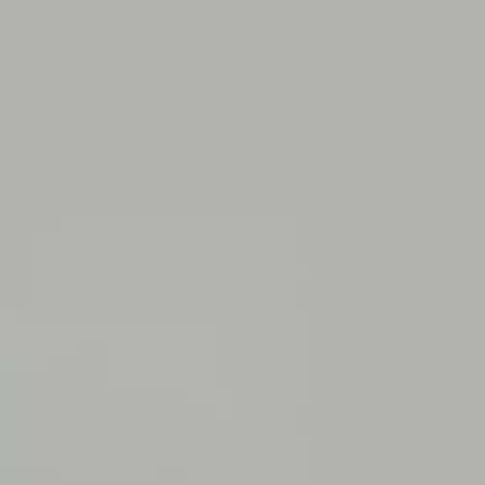 1 Gal. High Performance Protective Enamel Gloss Light Machine Gray Oil-Based Int