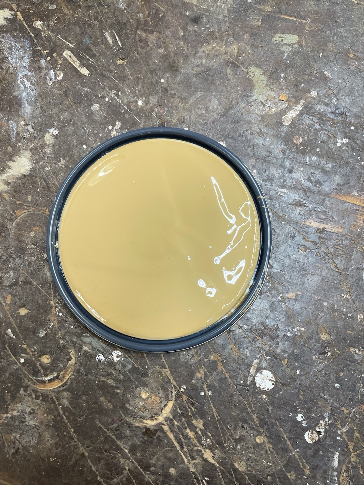 1 Gallon Sherwin Williams Duration Interior Matte Paint / Custom Golden Tan