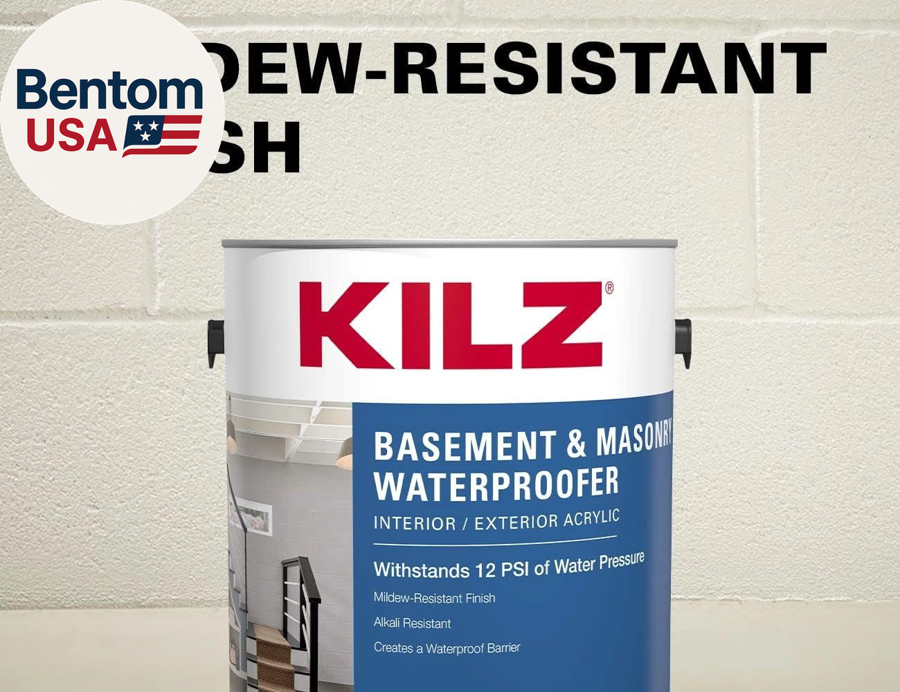 Basement and Masonry Waterproofing Paint, Interior/Exterior, White, 1 Gallon