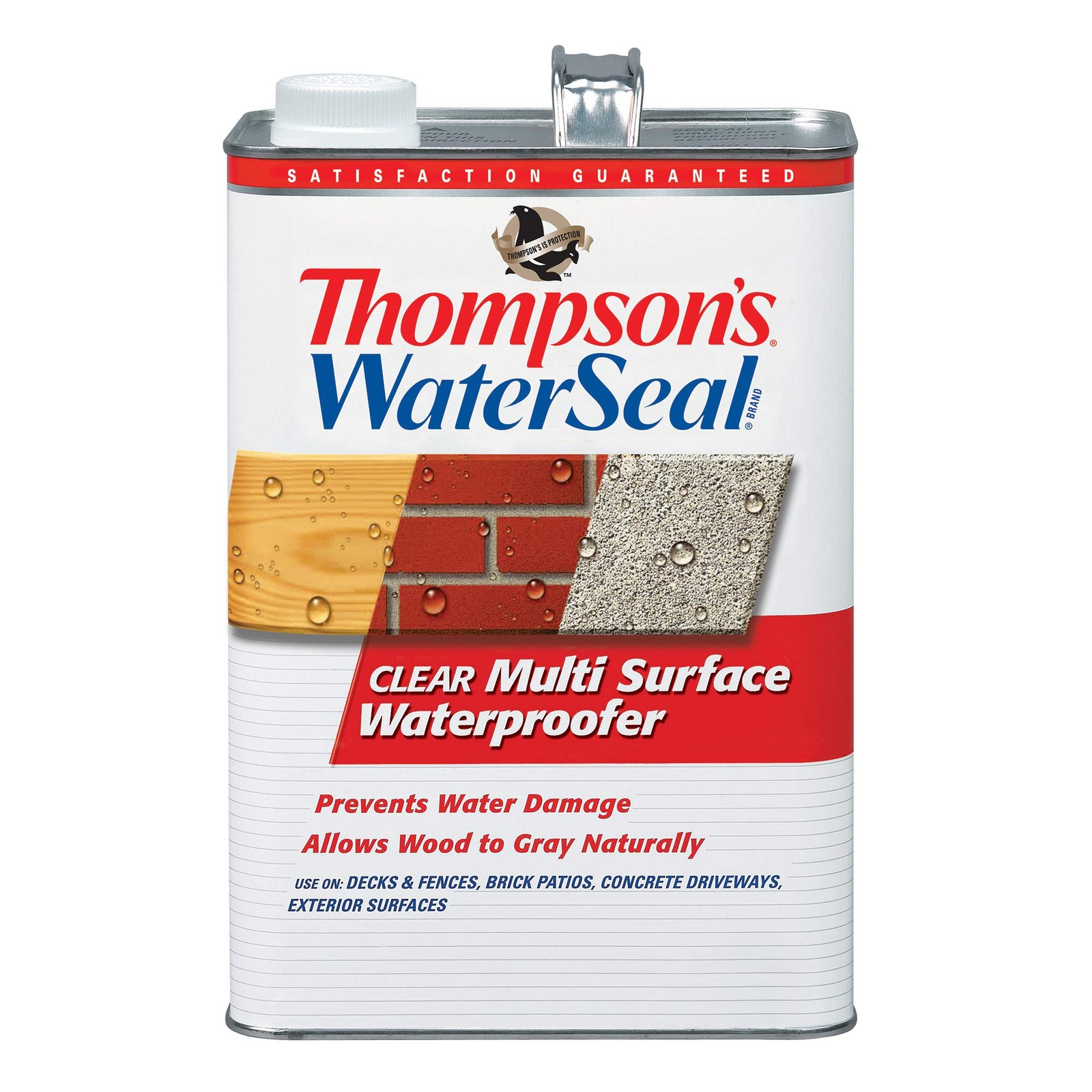 Thompson’s WaterSeal Multi-Surface Waterproofer Stain, Clear, 1 Gallon