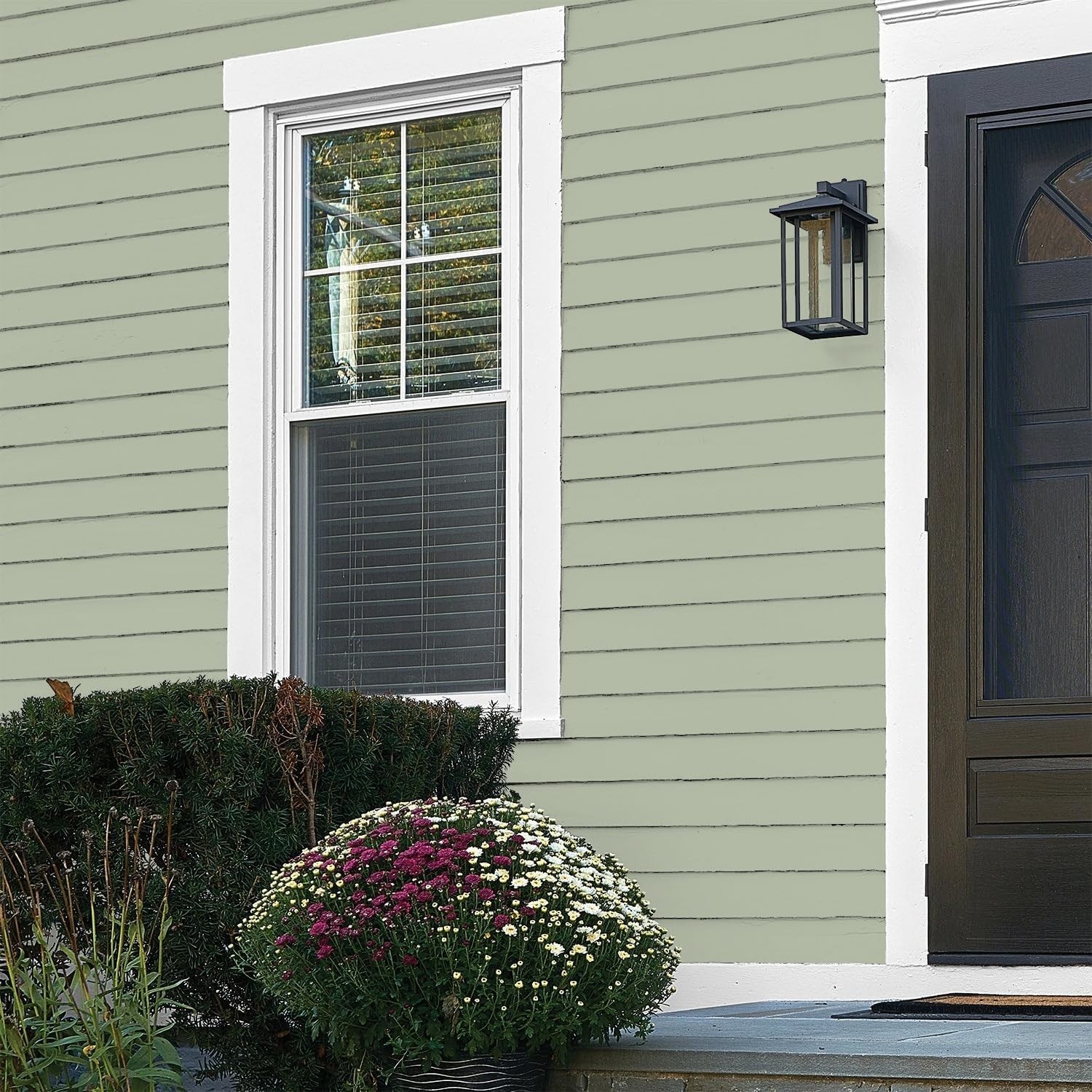 Total Exterior Paint & Primer, Durable Light Sage, Flat/`