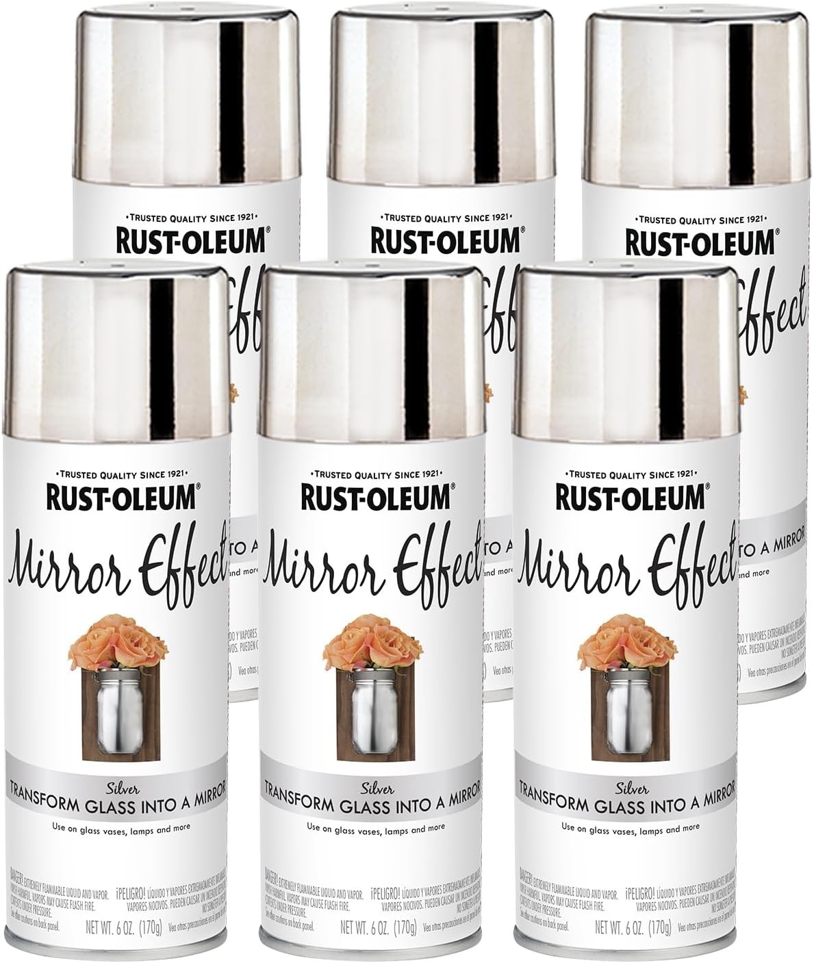 Rust-Oleum 301494 Specialty Mirror Spray, 6 oz, Silver