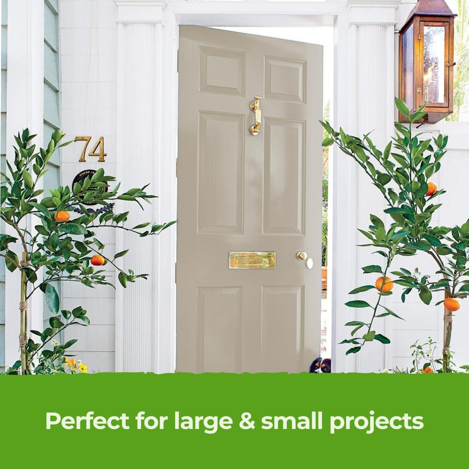 The One – 8.5 Fl 1 Coat Decorating For Walls Voc
