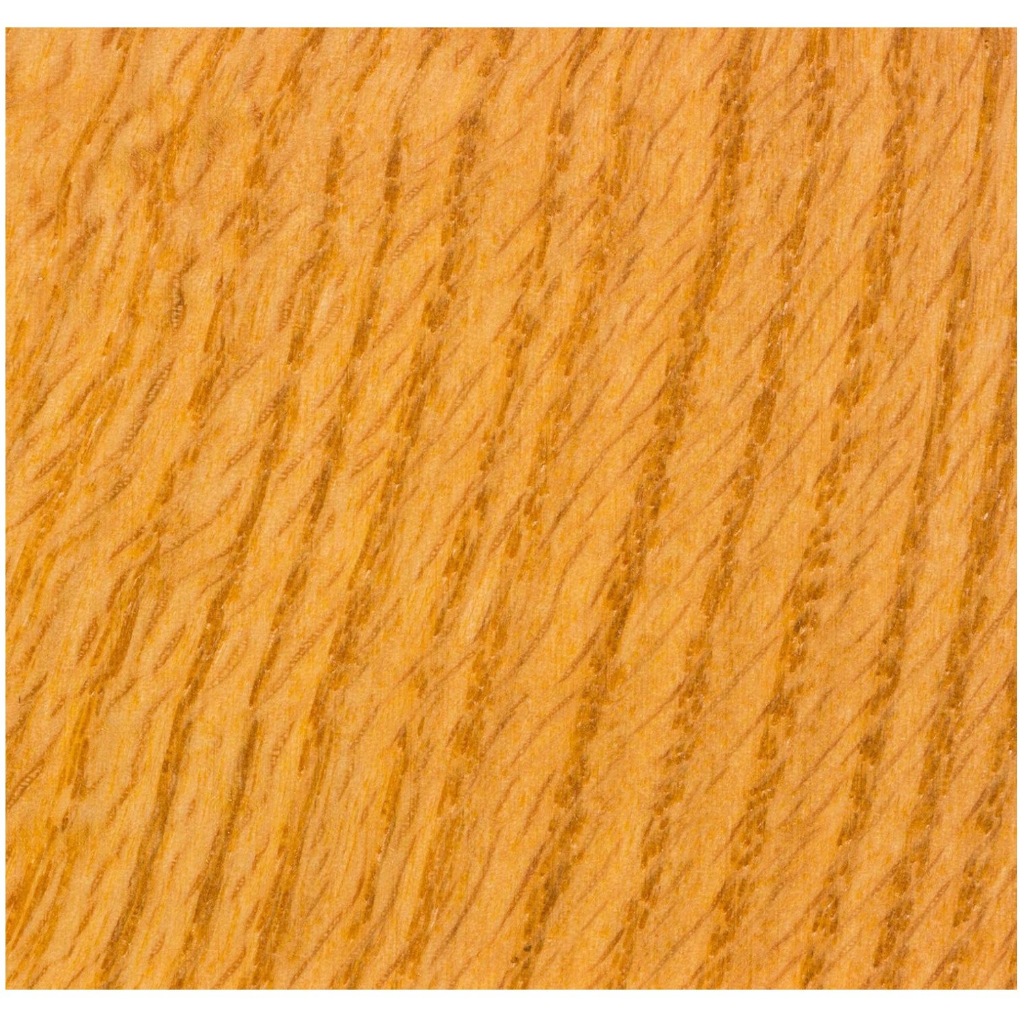 Superior Protection Wood Stain, Golden Oak