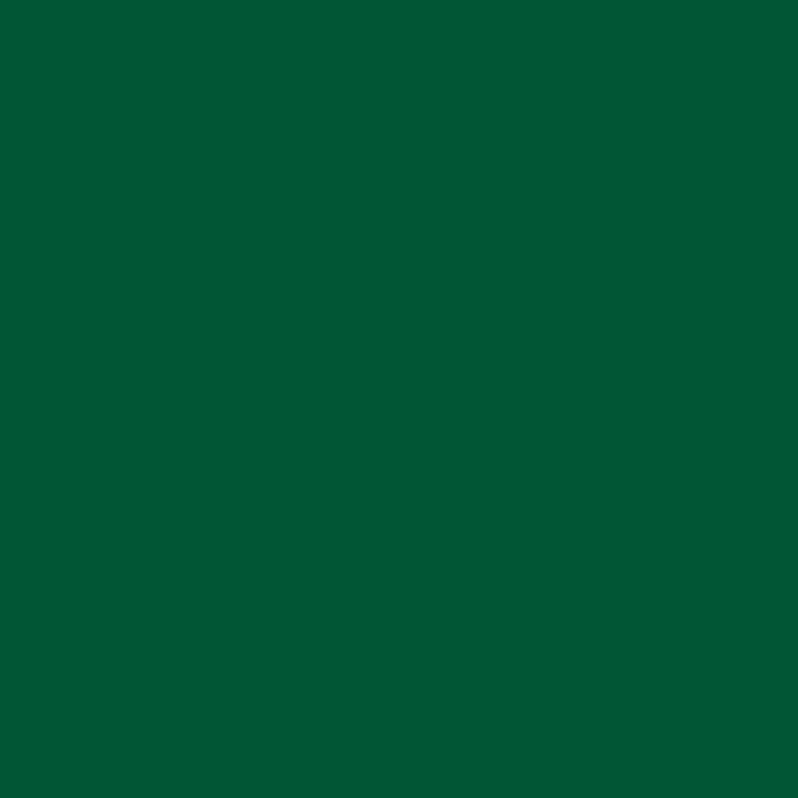 6 Pack, Kelly Green, Gloss All Purpose Enamel Spray Paint-390615, 10 oz