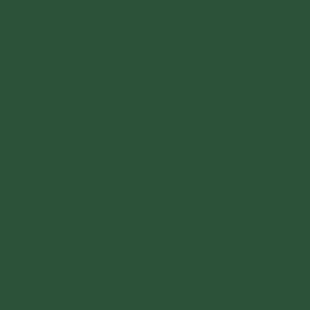 7732502-2PK Stops Rust Brush on Paint, Quart, Satin Hunter Green, (Pack of 2)
