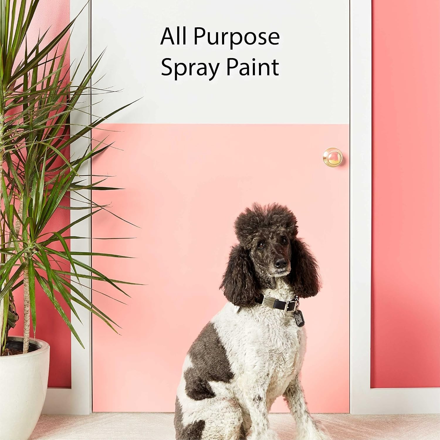 11oz COLORmaxx Spray Paint – Rust Resistant Metallic Gold for Any Surface