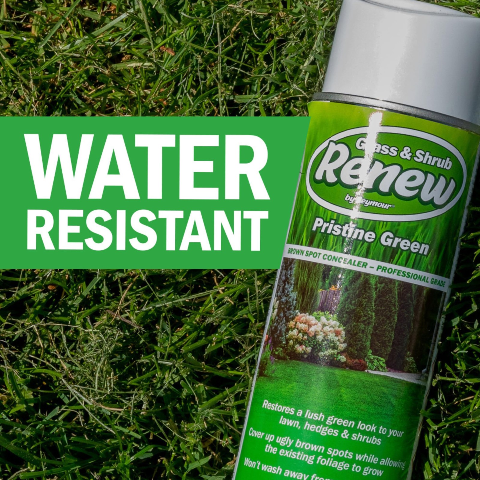 Seymour RENEW Grass and Shrub (Pristine). 17 oz. Can. (Pack of 2)