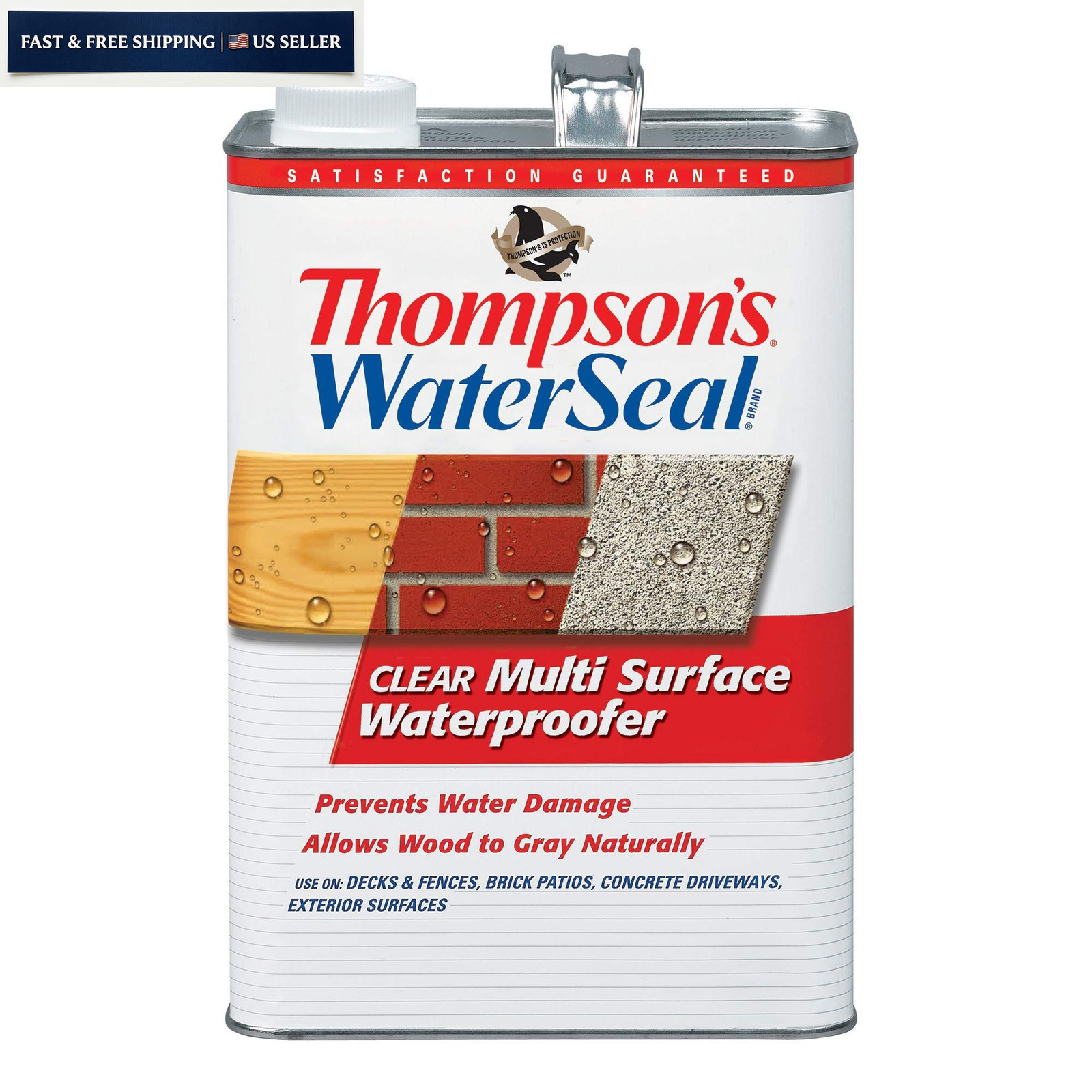 Thompson’s WaterSeal Multi-Surface Waterproofer Stain, Clear, 1 Gallon, Clear