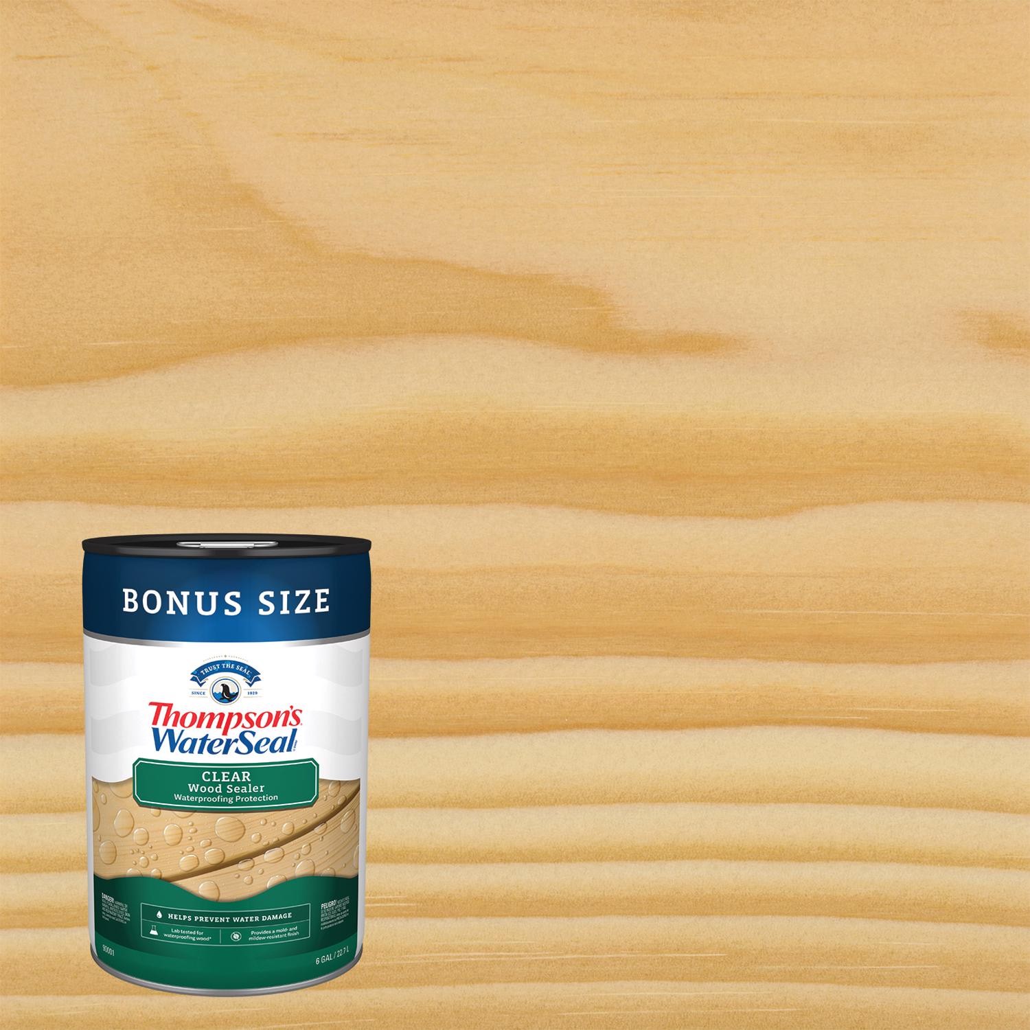 Thompson’s Waterseal Clear Oil-Based Waterproofer Wood Protector 6 gal