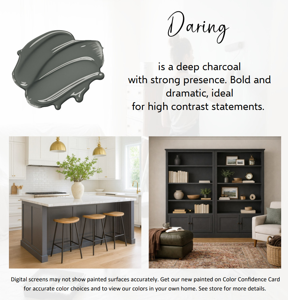 ALL-IN-ONE Paint – Daring, Gallon