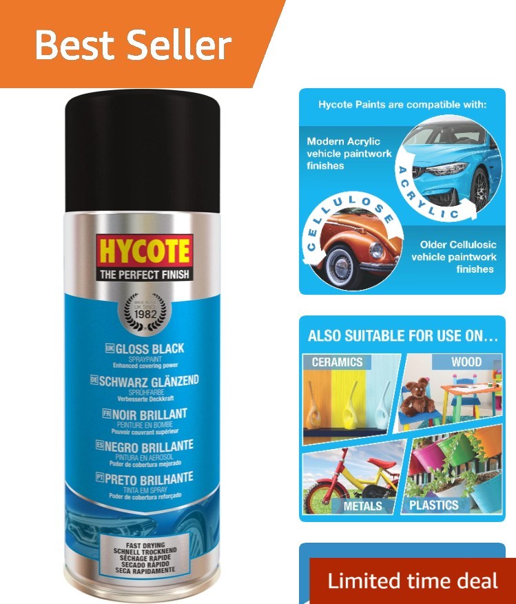 13.5 Oz Black Acrylic Spray Paint – Quick Dry, UV Protected for Automotive & DIY