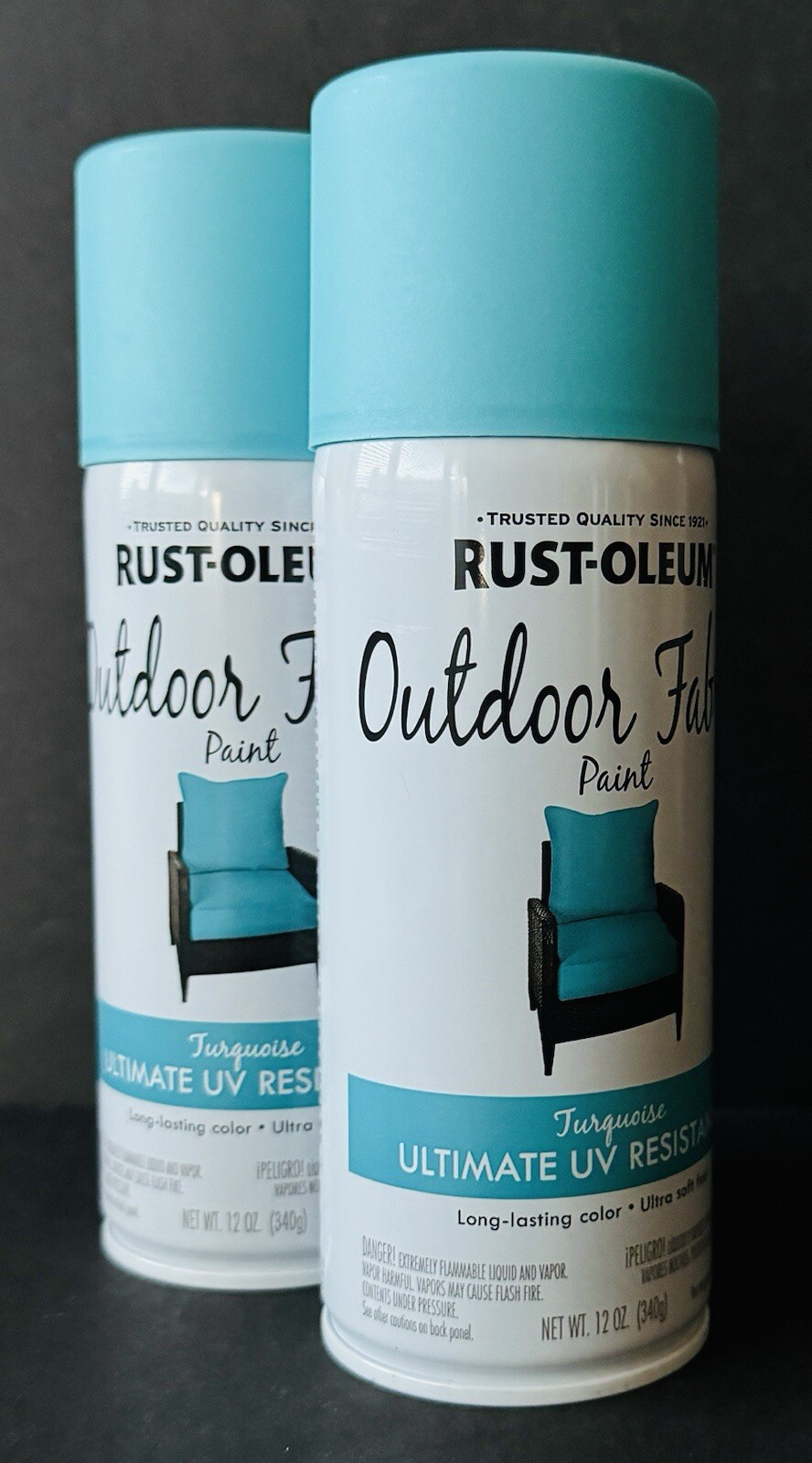 Rust-Oleum 358842 Outdoor Fabric Paint “TURQUOISE”, 12oz (2 Pack)
