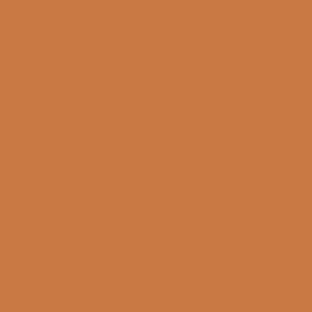 6 Krylon Fusion All-In-One Adhesive Spray Paint In/Outdoor, 12oz, Spiced Amber