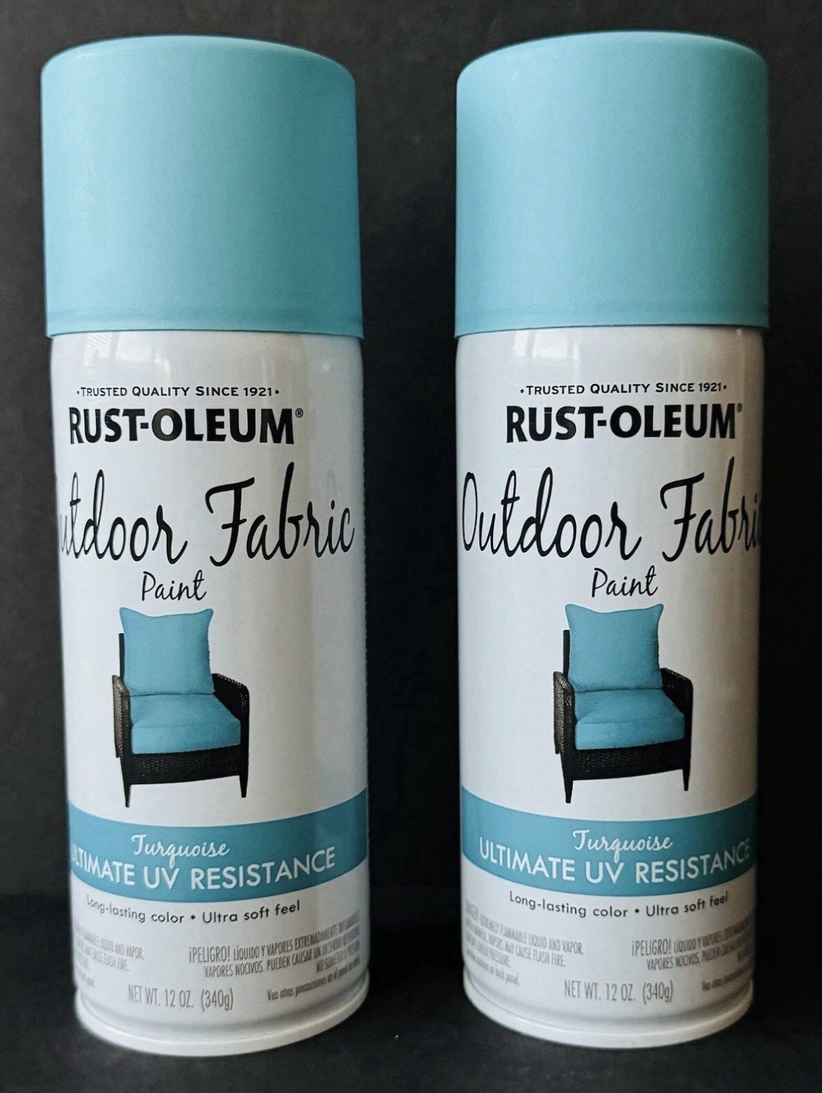2 Pack Rust-Oleum 358842 Outdoor Fabric Paint “TURQUOISE”, 12oz